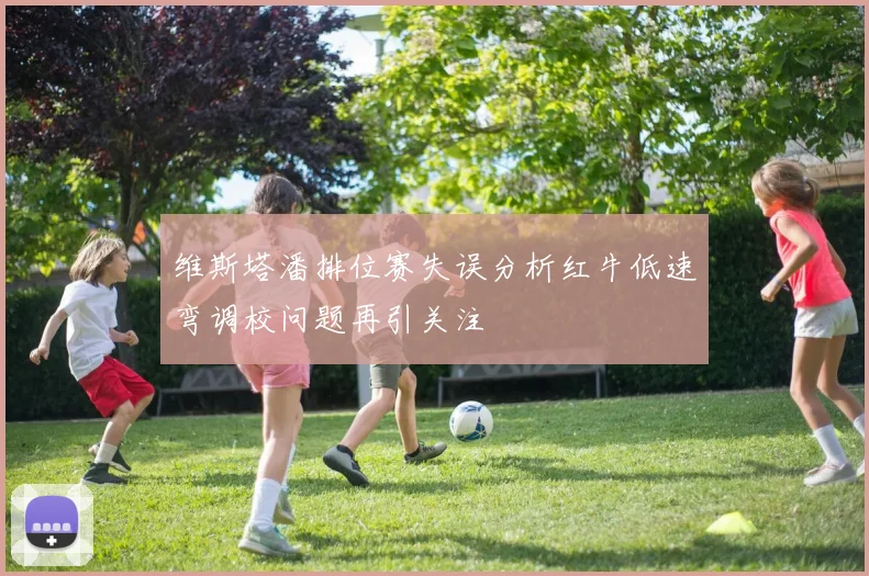 维斯塔潘排位赛失误分析红牛低速弯调校问题再引关注