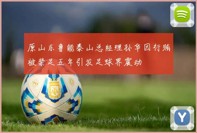 原山东鲁能泰山总经理孙华因行贿被禁足五年引发足球界震动