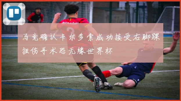 马竞确认卡尔多索成功接受右脚踝扭伤手术恐无缘世界杯